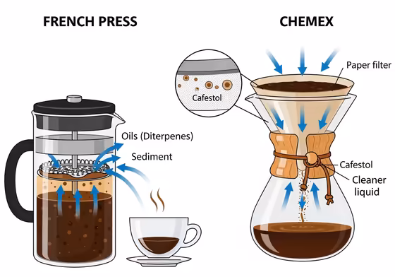 A microscopic, stylized illustration of a paper filter's fibers trapping large oil and sediment particles while allowing water to pass through.